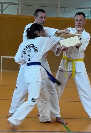 1 Blaugurtmädchen beim Bruchtest - das Brett wird von 2 Männern gehalten